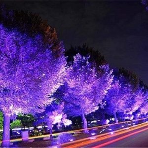 شرکت های نورپردازی در اصفهان